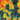 Heat Map