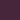 Festival Fushia/Potent Purple