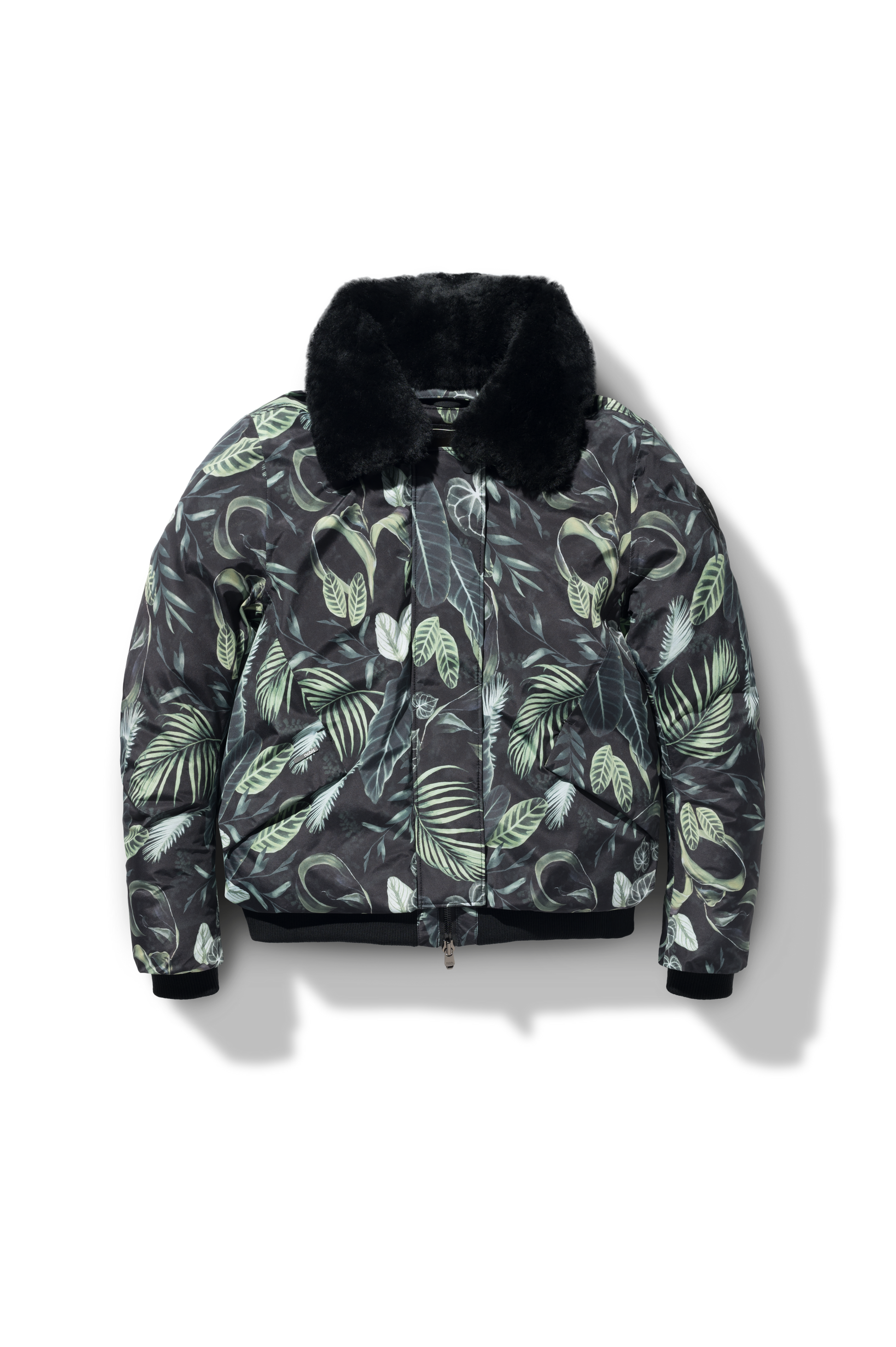 flat-lay-image Foliage